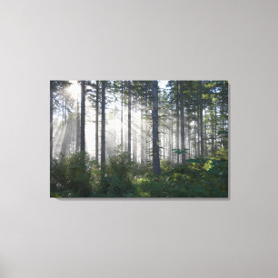 Sonnenlicht, das durch einen nebelhaften Wald Leinwanddruck