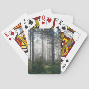 Sonnenlicht, das durch einen nebelhaften Wald Spielkarten