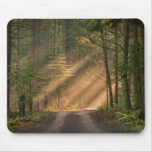 Sonnenlicht, das durch einen Wald glänzt Mousepad
