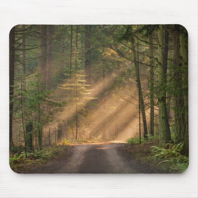 Sonnenlicht, das durch einen Wald glänzt Mousepad (Vorne)