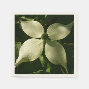 Sonnenlicht Dogwood Blossom Frühlingsblume Serviette