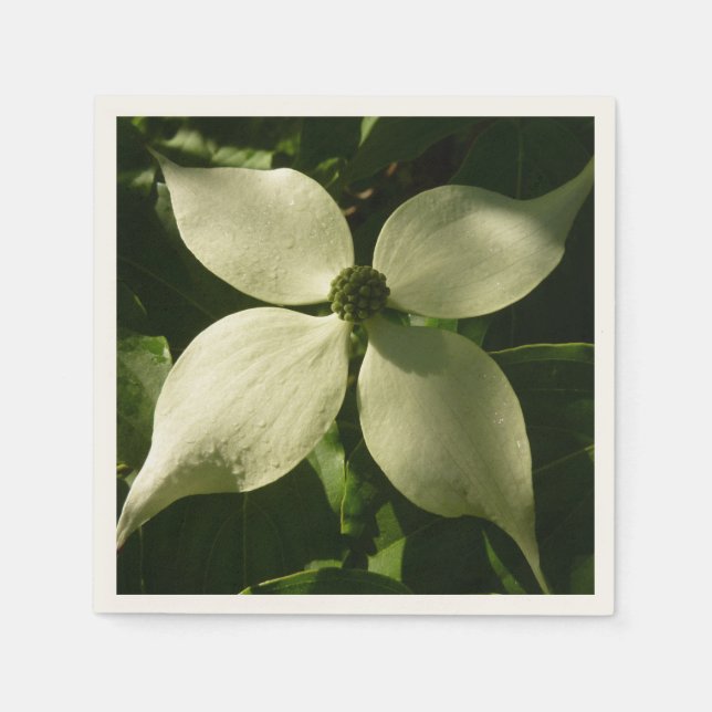 Sonnenlicht Dogwood Blossom Frühlingsblume Serviette (Vorderseite)