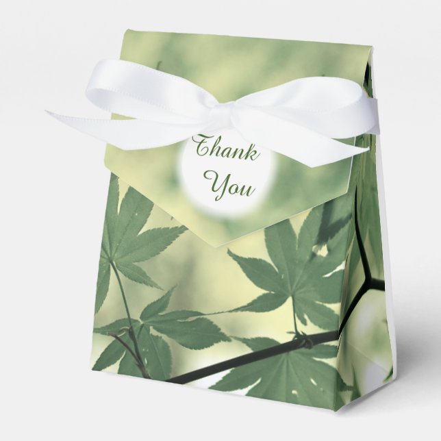 Sonnenlicht Durch Ahornblätter Danke Geschenkschachtel (Vorderseite)