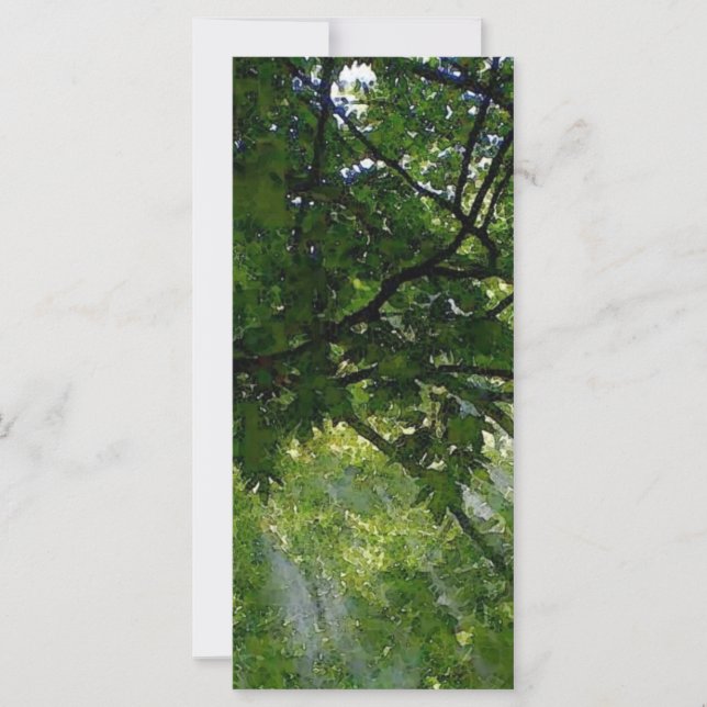 Sonnenlicht durch Bäume (Vorderseite)