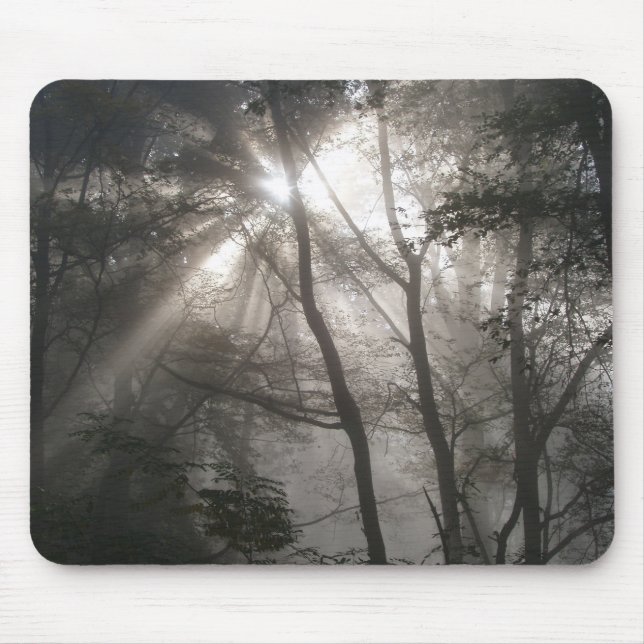 Sonnenlicht Durch Bäume Dunkler Wald Mousepad (Vorne)