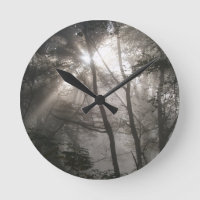 Sonnenlicht durch Bäume dunkles Wald