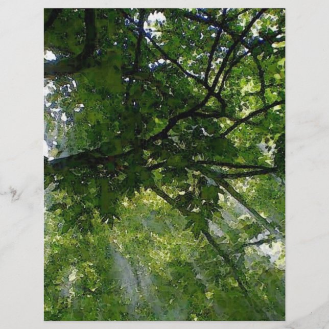 Sonnenlicht durch Bäume Flyer (Vorne)