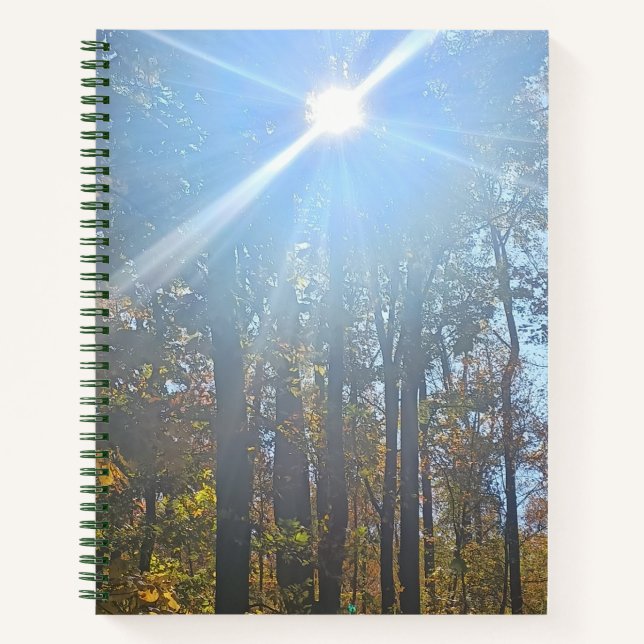 Sonnenlicht durch das Spiraljournal der Bäume im H Notizbuch (Vorderseite)