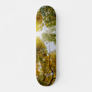 Sonnenlicht durch den Herbst Skateboard