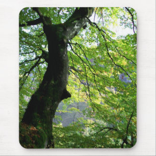 Sonnenlicht durch die Blätter Mousepad