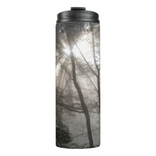Sonnenlicht durch dunkle Waldbaeume Thermosbecher
