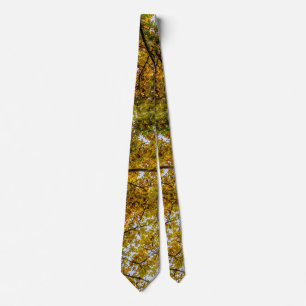 Sonnenlicht durch Herbst Zucker Maples Neck Tie Krawatte