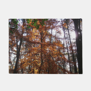 Sonnenlicht durch Herbstbaum bei Greenbelt Fußmatte