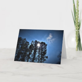 Sonnenlicht durch Pinienbäume, Karte