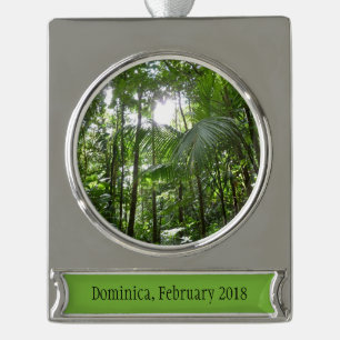 Sonnenlicht durch Regenwaldkanopie tropisches Grün Banner-Ornament Silber