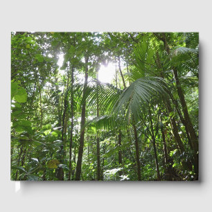 Sonnenlicht durch Regenwaldkanopie tropisches Grün Gästebuch