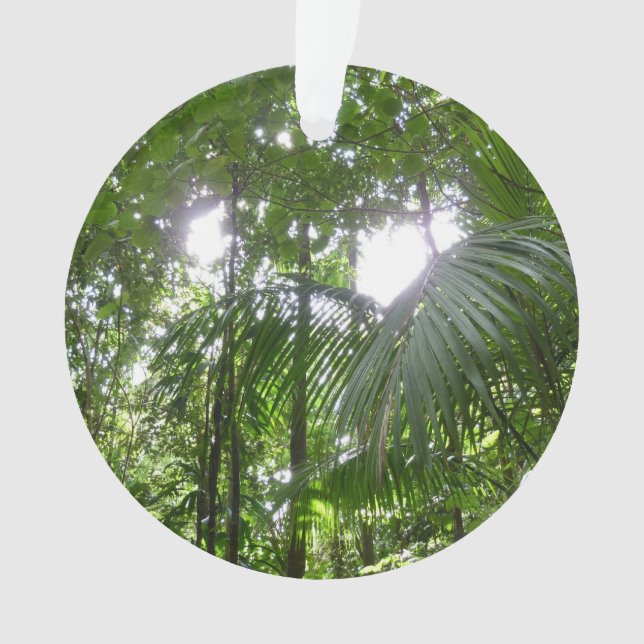 Sonnenlicht durch Regenwaldkanopie tropisches Grün Ornament (Vorderseite)