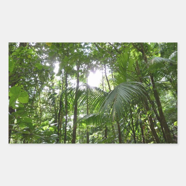 Sonnenlicht durch Regenwaldkanopie tropisches Grün Rechteckiger Aufkleber (Vorderseite)