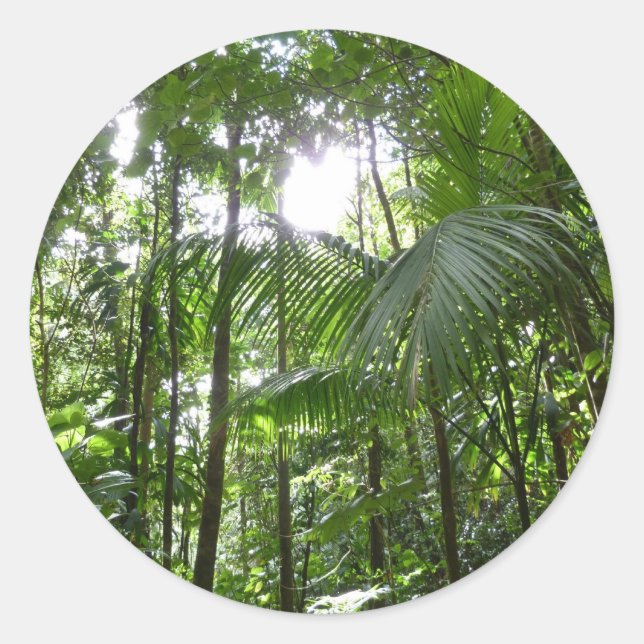 Sonnenlicht durch Regenwaldkanopie tropisches Grün Runder Aufkleber (Vorderseite)
