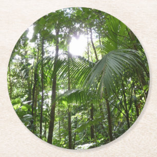 Sonnenlicht durch Regenwaldkanopie tropisches Grün Runder Pappuntersetzer