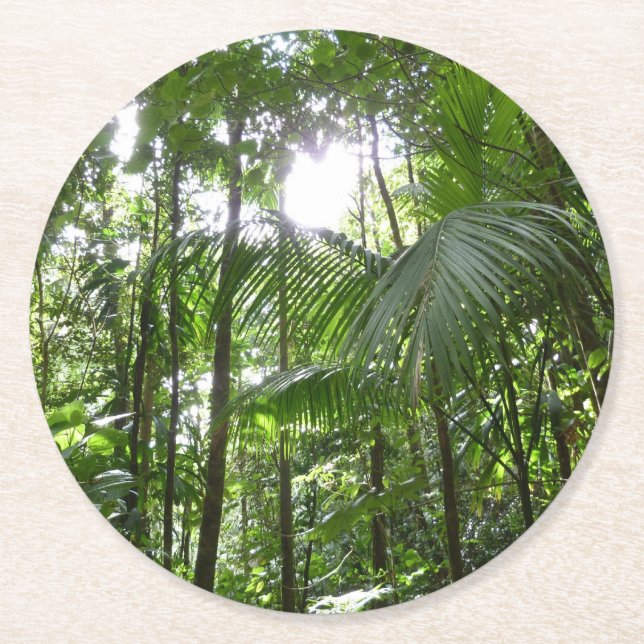 Sonnenlicht durch Regenwaldkanopie tropisches Grün Runder Pappuntersetzer (Vorderseite)