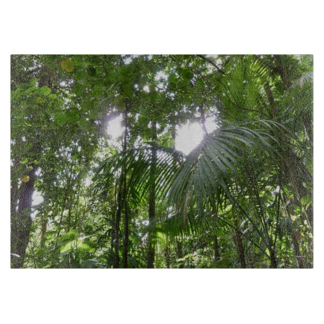 Sonnenlicht durch Regenwaldkanopie tropisches Grün Schneidebrett (Vorderseite)
