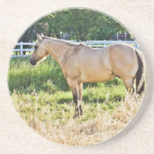 Sonnenlicht geklaut Morgen Untersetzer