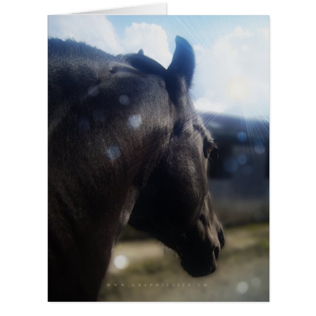 Sonnenlicht - Grußkarte (Vorderseite)