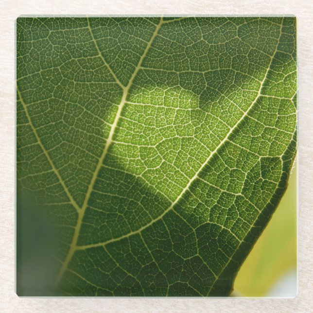 Sonnenlicht-Herz-Blatt-Glasuntersetzer Glasuntersetzer (Vorderseite)