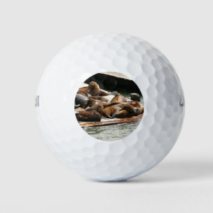 Sonnenlicht in San Francisco Golfball