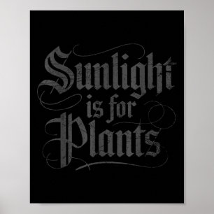 Sonnenlicht ist für Pflanzen Poster