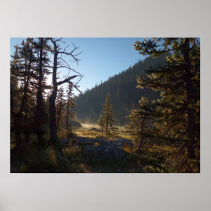 Sonnenlicht Mattierte Pine Treatments am Lago Magg Poster