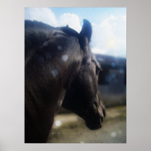 Sonnenlicht - Poster