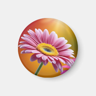 Sonnenlicht Rosa Blütenblume Magnet