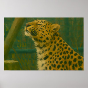 Sonnenlicht - Ruhender Leopard im Waldlicht Poster