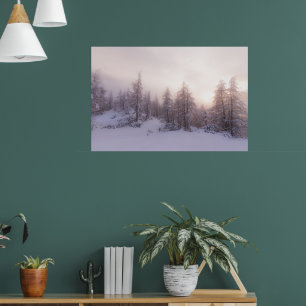 Sonnenlicht und Fichtenwald Poster
