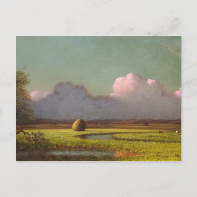 Sonnenlicht und Schatten, die Sumpfgebiete der Neu Postkarte (Vorderseite)