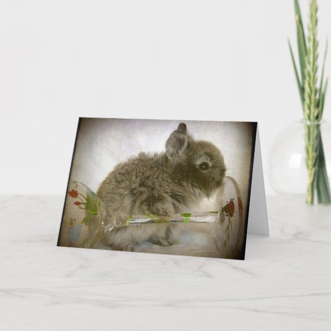 Sonnenlicht und Weinglas Karte (Vorderseite)