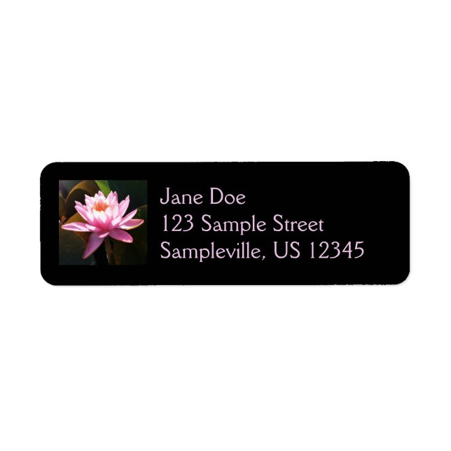 Sonnenlicht Wasserlilie Rosa Blumengarten (Vorne)