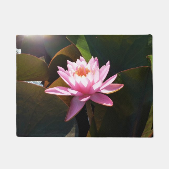 Sonnenlicht Wasserlilie Rosa Blumengarten Fußmatte (Vorderseite)