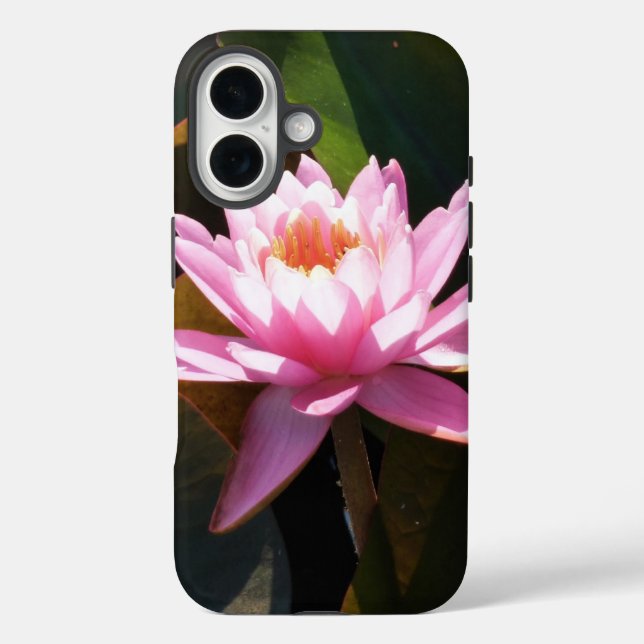 Sonnenlicht Wasserlilie Rosa Blumengarten iPhone 16 Hülle (Rückseite)