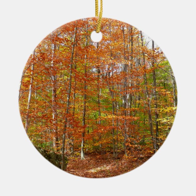 Sonnenlichtdurchgang Entdeckungsreise zur Alp Pior Keramik Ornament (Vorne)