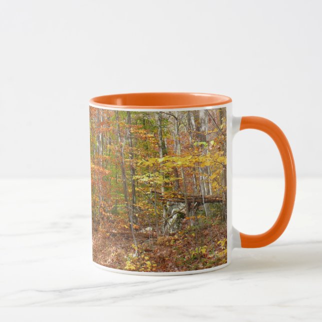 Sonnenlichtdurchgang Entdeckungsreise zur Alp Pior Tasse (Rechts)