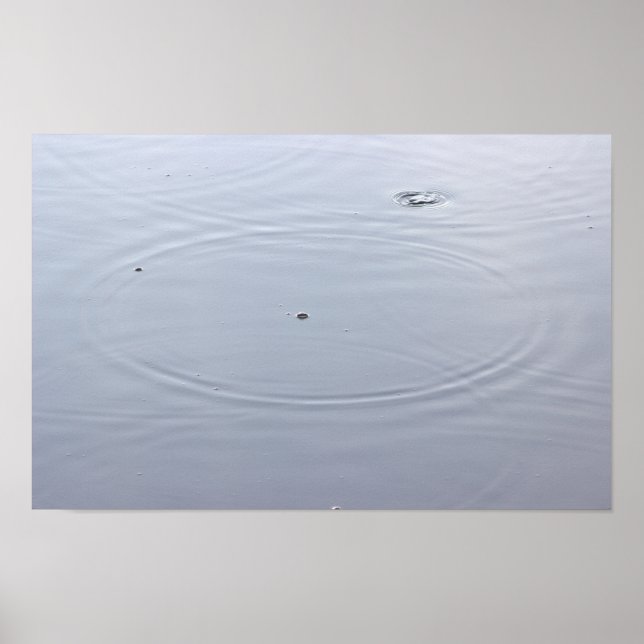 Sonnenlichtkreise in einem Teich-Poster Poster (Vorne)