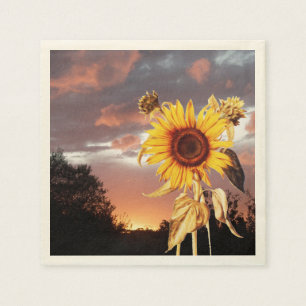 SONNENLIEGEN UND SOMMERSONNENANSCHLUSS SERVIETTE