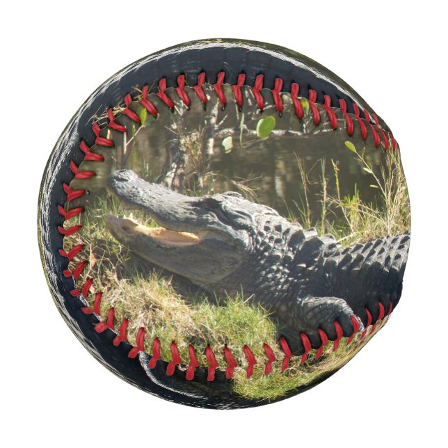 Sonnenmelder Baseball (Vorderseite Links)