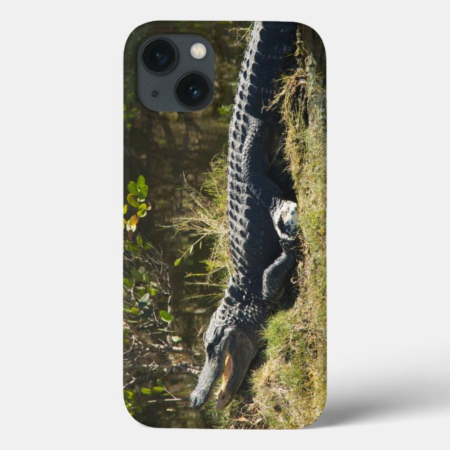 Sonnenmelder Case-Mate iPhone Hülle (Rückseite)