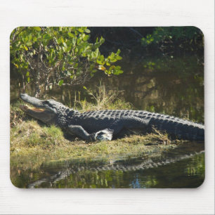Sonnenmelder Mousepad
