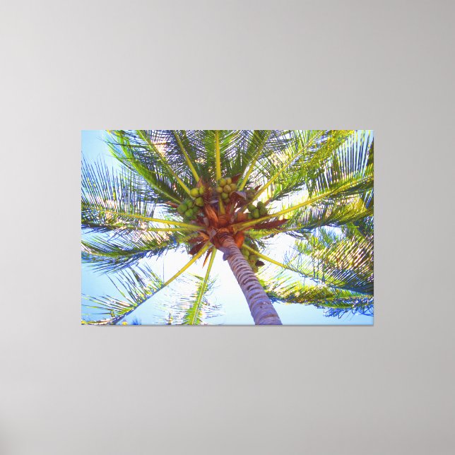 SONNENPALM 40x60 Leinwanddruck (Vorderseite)