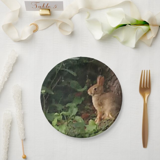 Sonnenpapierplatte - für Kaninchen und Naturliebha Pappteller (Hochzeit)